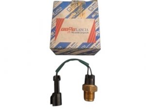 Interruptor de Temperatura Radiador